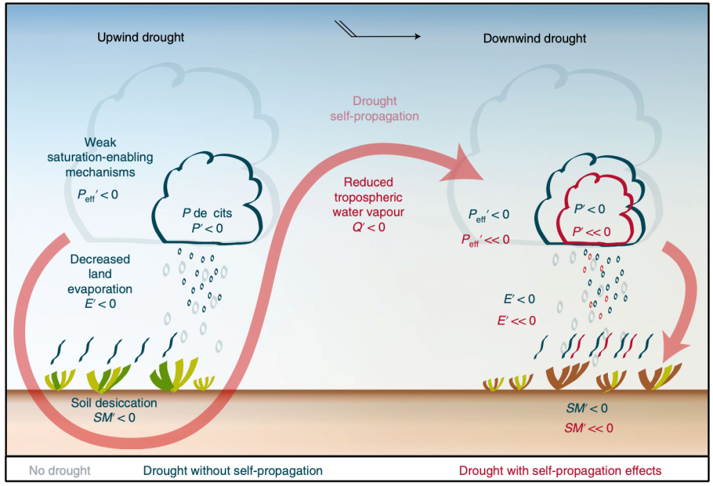 Drought selfpropagation in drylands due to landatmosphere feedbacks